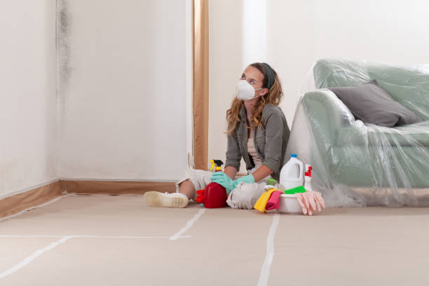 Reliable Black Mold Removal contractor in Arnold, PA by WQB Mold Removal